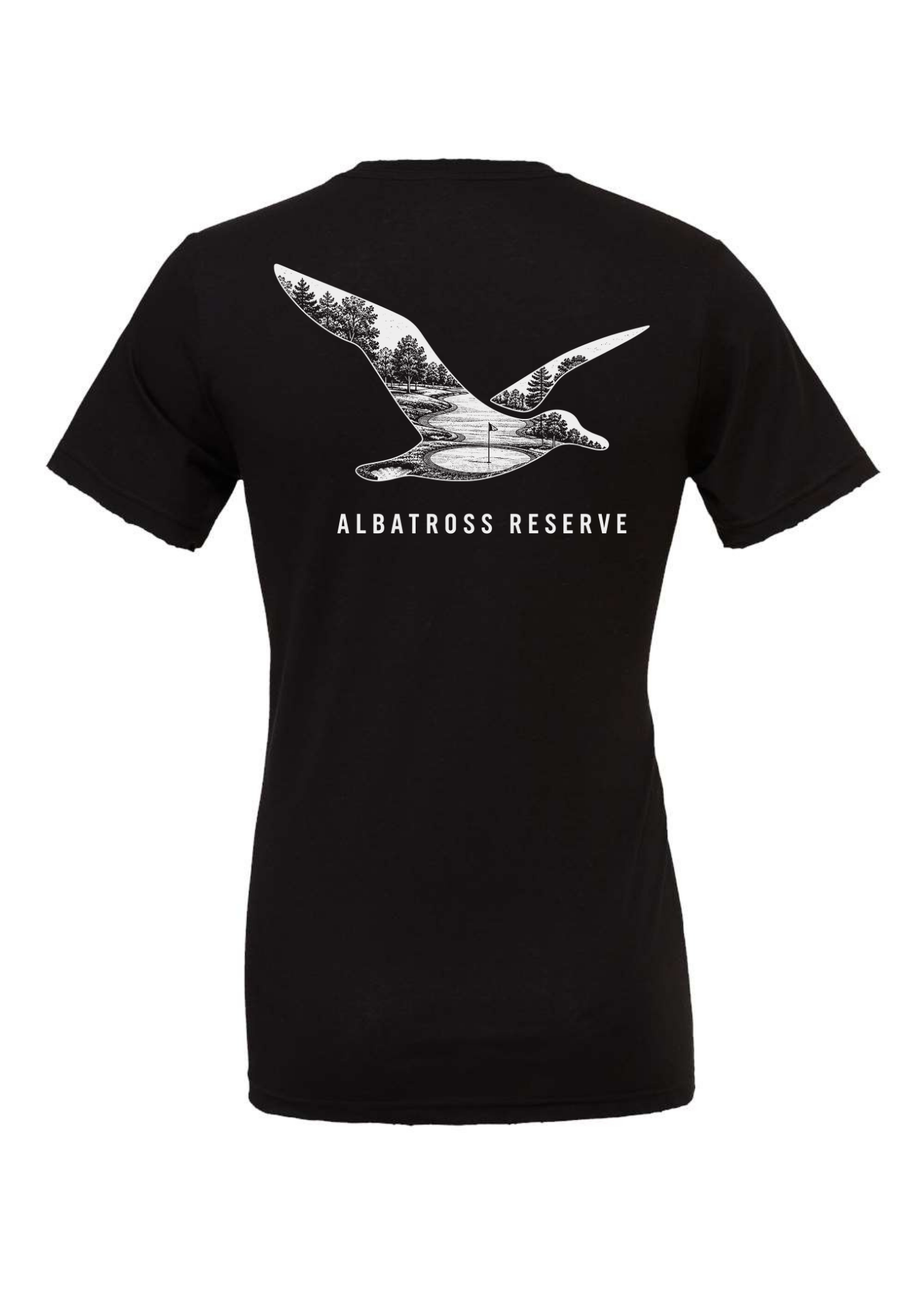 New Releases