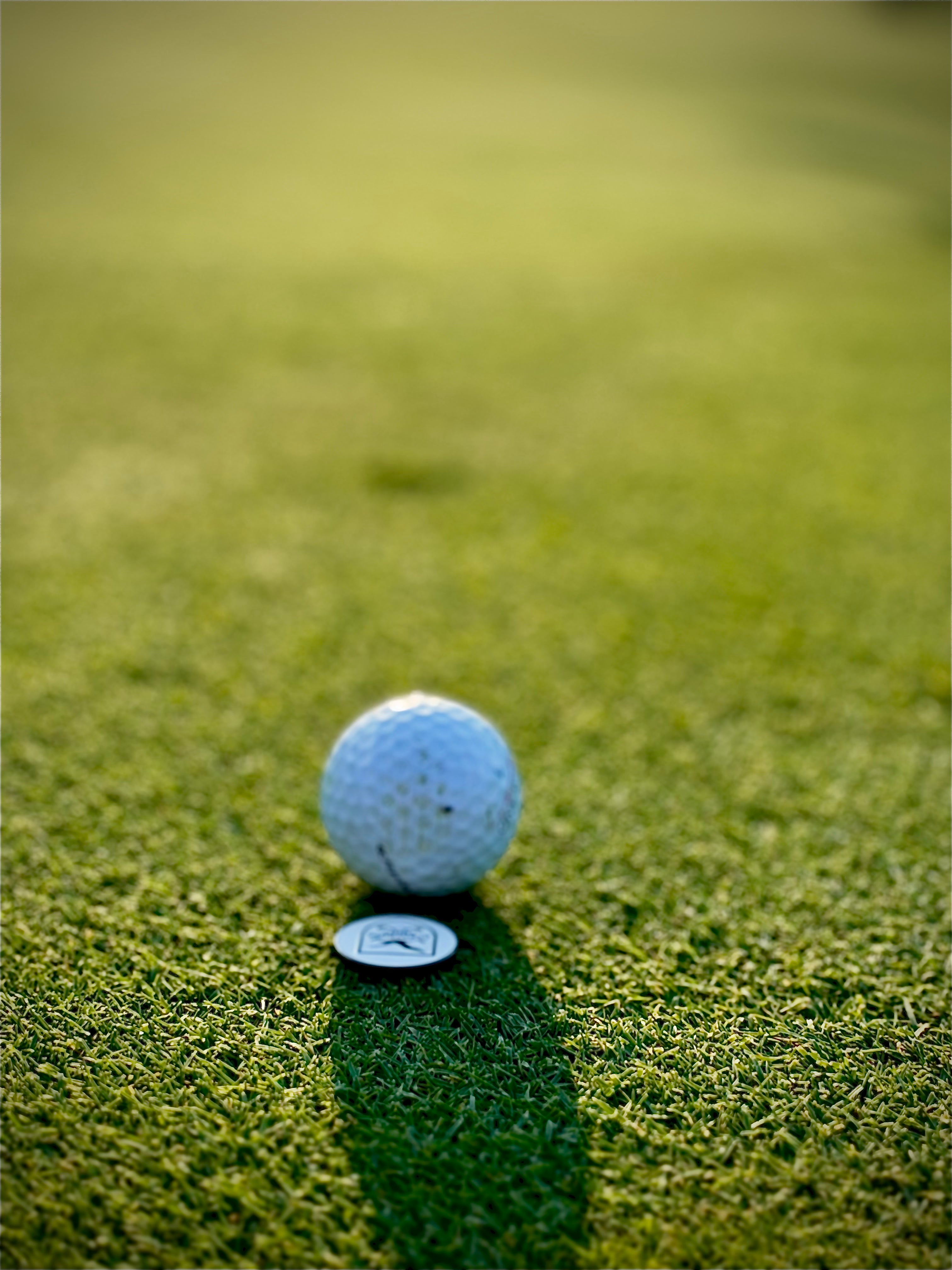 Switch Blade Divot Tool & Ball Marker