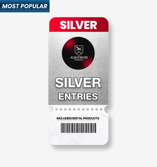 SILVER VIP DIGITAL ENTRY