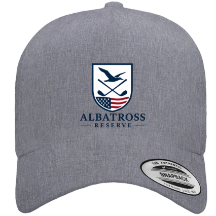 USA Logo Perforated Snapback